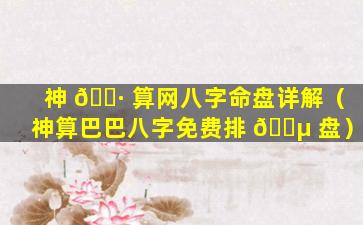 神 🌷 算网八字命盘详解（神算巴巴八字免费排 🌵 盘）